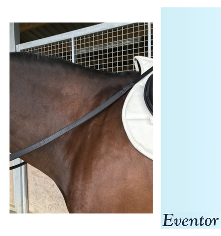 EVENTOR RUBBER GRIP REINS