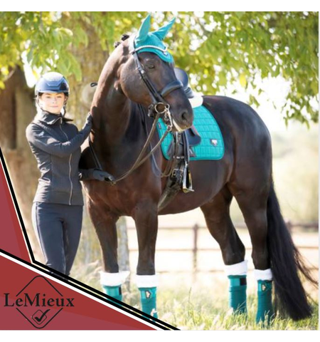 LE MIEUX LOIRE CLASSIC SATIN SQUARE DRESSAGE SADDLE CLOTH