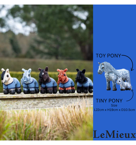 LE MIEUX TINY TOY PONY