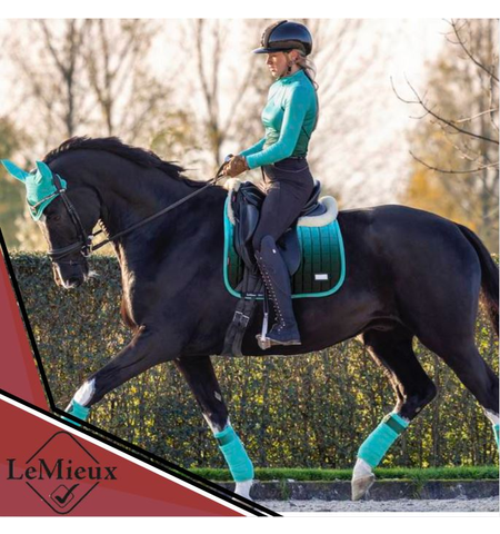 LE MIEUX LOIRE SPECTRUM DRESSAGE CLOTH