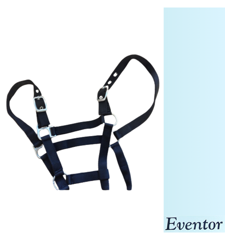 EVENTOR WEB HALTER SILVER BUCKLES