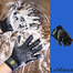 LE MIEUX HANDSON GROOMING GLOVE