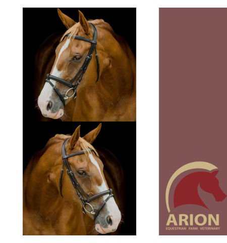 PLATNIUM SHAPED PADDED BRIDLE HEAD 