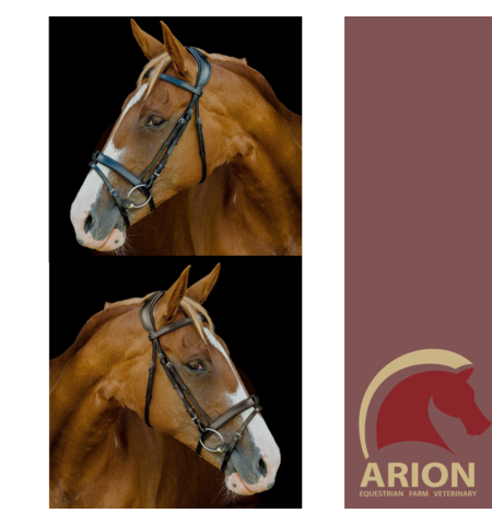 PLATINUM ANATOMICAL FLAT PADDED BRIDLE