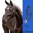 LE MIEUX ARIKA GRACKLE BRIDLE